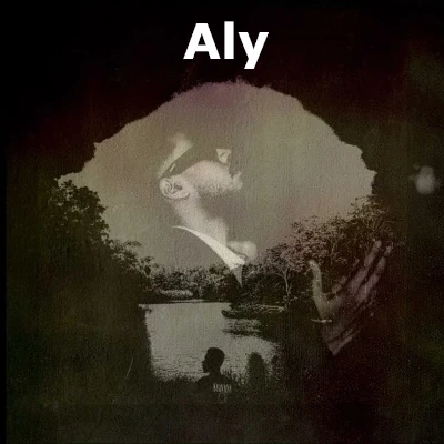 Download Aly - Zany Inzane Mp3 Song for free. Latest Sinhala music available on SriTune.