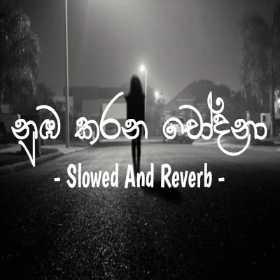 Download Numba Karana Chodana (Slowd & Reverb) - Harsha Maduranga Mp3 Song for free. Latest Sinhala music available on SriTune.