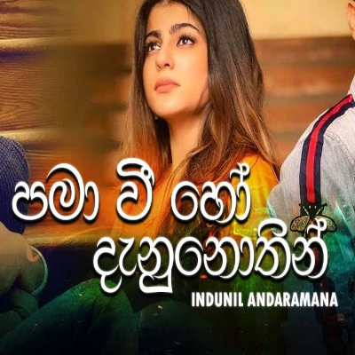 Download Pamawee Ho Danunothin - Indunil Andramana Mp3 Song for free. Latest Sinhala music available on SriTune.