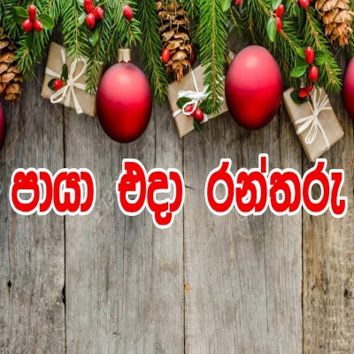 Download Paya Eda Ran Tharu - Various Artists Mp3 Song for free. Latest Sinhala music available on SriTune.