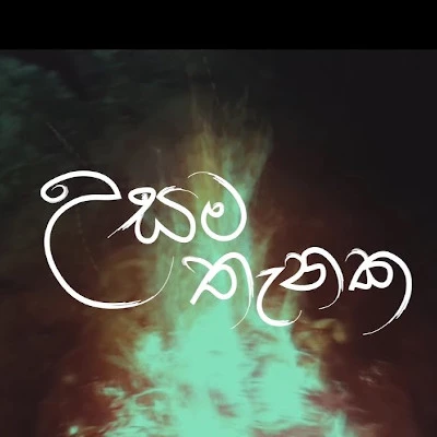Download Usama Thanaka - Various Artists Mp3 Song for free. Latest Sinhala music available on SriTune.