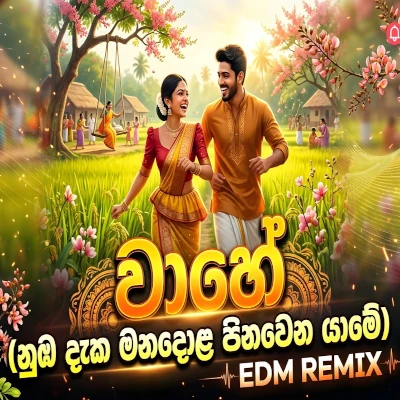 Download Vaahe (Remix) - Jo Perera Mp3 Song for free. Latest Sinhala music available on SriTune.