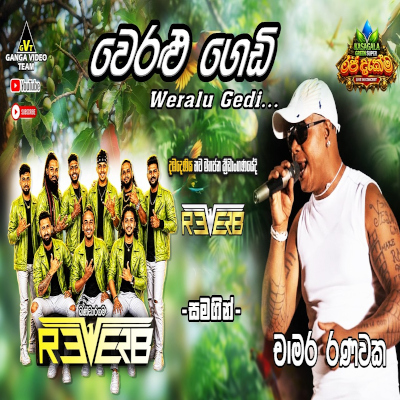 Download Weralu Gedi Pahena Kale Live - Chamara Ranawaka Mp3 Song for free. Latest Sinhala music available on SriTune.